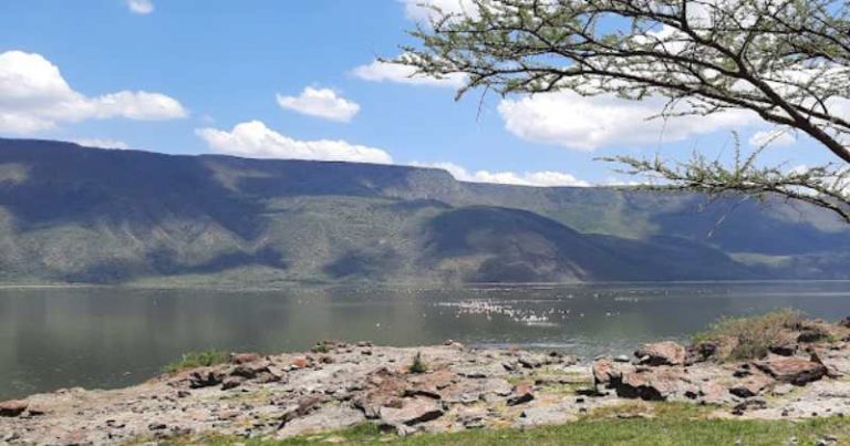 Kerubo swamp – Lake Baringo